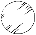 德國玻璃圓形培養片（German Glass Cover Slips）